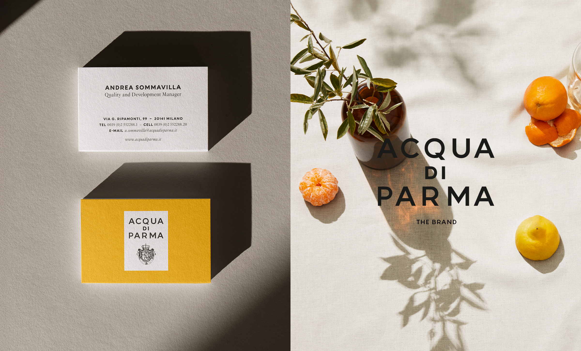 Portfolio Work